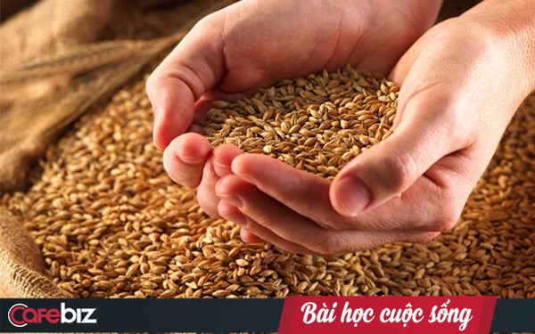 Chuyện đấu thóc của người giàu: Cuộc sống không nợ bạn điều gì, thành hay bại là do chính bạn mà thôi!