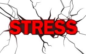 Chiến thắng stress để thoát khỏi bờ vực phá sản
