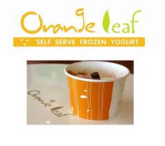 Cơ hội triệu USD từ Orange Leaf