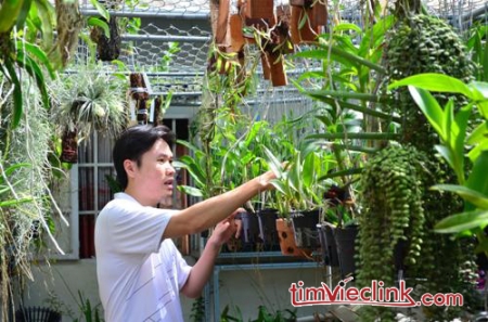Kỹ sư công nghệ thông tin bán hoa lan