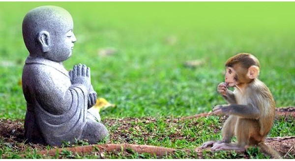 Tìm hiểu 1 số giá trị sống hay gặp trong cuộc đời
