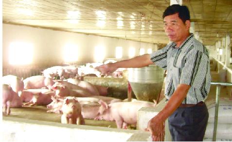 “Đánh thức” một vùng bãi sông, thu tiền tỷ